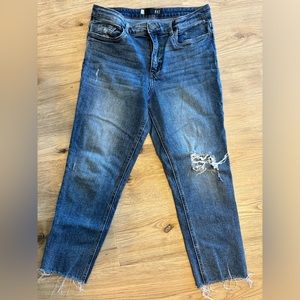 KIT from the Kloth Jeans